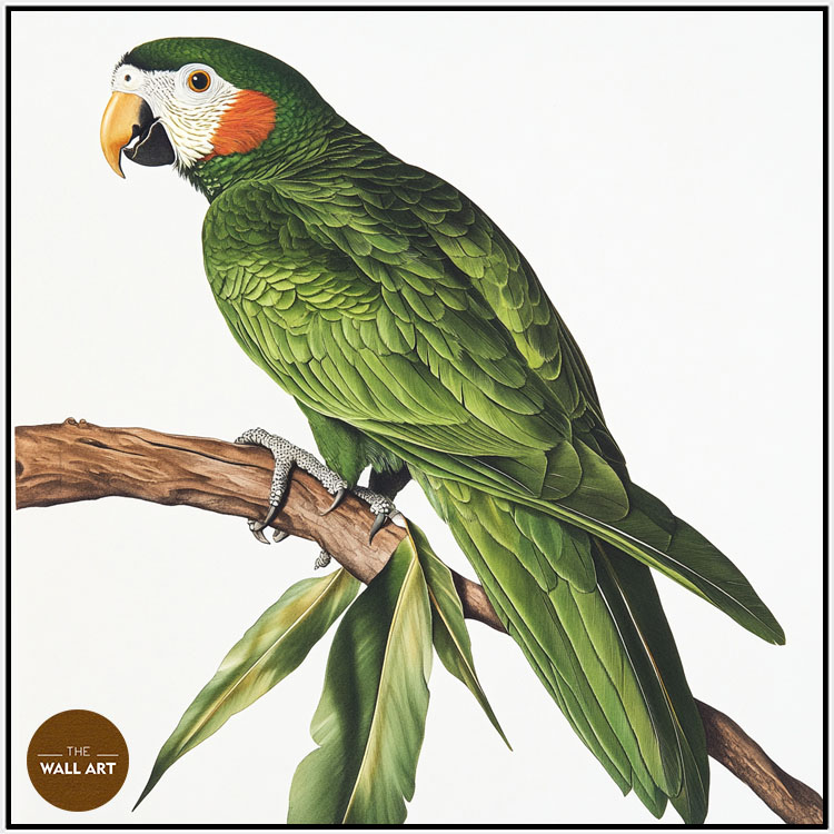 images/products/green_parrot_on_branch/green_parrot on branch_WHITE.jpg